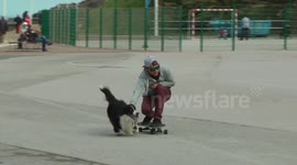 Skate-dog