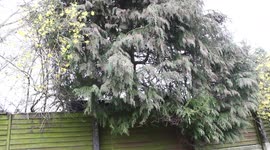 Saharan Dust In Belfast, N. Ireland (1)