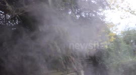 Saharan Dust In Trees From Belfast (2)
