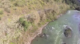 Logger Climbs 70ft Tree to Recsue Hexa-Copter