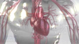 The Future of Virtual Reality in Healthcare