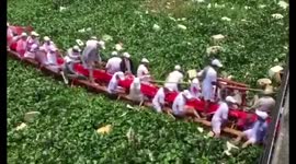 Dragon boats get stuck in water vegetation