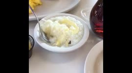 Don't Steal a Southern Lady's Grits!