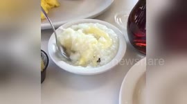 Newsflare Edit - Don't Steal a Southern Lady's Grits!