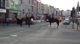 Mounted police close off dickson road