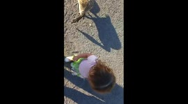 Lil baby bella - Duckey. Here Duckey.