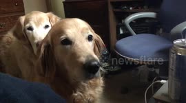 How's your woofer 1