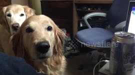 How's your woofer 2