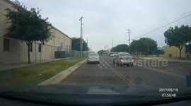 Puppy blocks lane