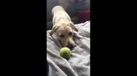 Play with me!