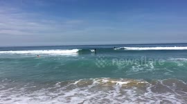 Feel the wave!