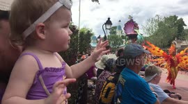 Baby can't stop saying WOW at Disney's Magic Kingdom Parade