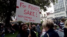Hundreds march in London against lifting fox hunting ban