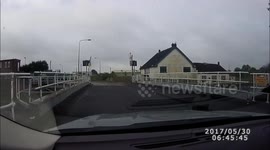 Geese  and Goslings in Road