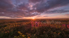 Stunning Time-Lapse Footage of Midnight Tundra Sunset