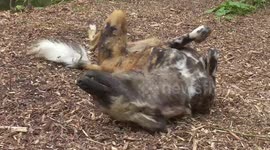 When you've got an itch you can't scratch