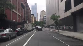 Horse runs loose in the streets of New York City