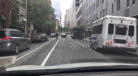 Horse runs loose in the streets of New York City