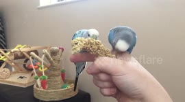 I'm not sharing