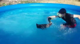 Boy and his pet duck enjoy hot day in the pool