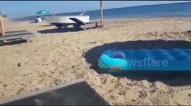 Greece Beach with wild Birds