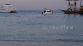 Jumping Manta Rays