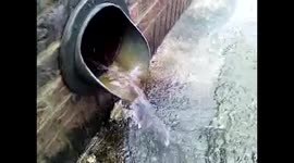Rain drain after raining, and a train whistle