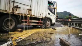 Thousands of eggs spill from lorry after slipper-wearing driver 'couldn't find right pedal'