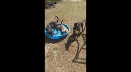 Water fun