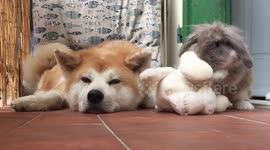 jealous