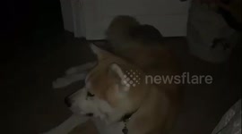 to play hide and seek
