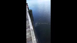 Daughter's first fish excitment