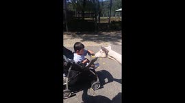 Toddler feeding a deer