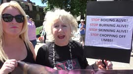 Worldwide Awareness Day actions Stop the dog meat trade