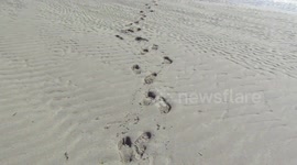 Walking on bottom of the ocean