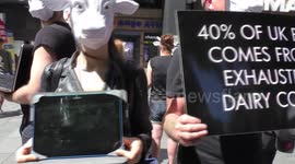 Animal Rights protest against cow exploitation, London, UK