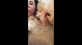 Goofy puppy!