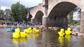 2017 Ballater Duck Race along the River Dee in Scotland