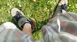 Baby bunnies hide by my feet!