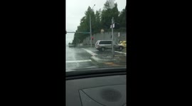 Dog almost gets hit by car