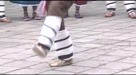 Bulgarian  dances