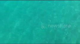 The Sea was Bright Blue with some Tropical Fish