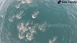 Drone films