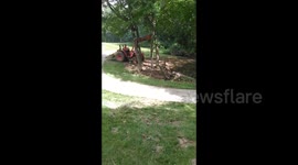 Man tries to fell tree with tractor. Tree wins.