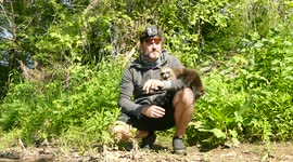Man has incredible encounter with baby raccoons