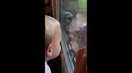 Confused toddler doesn't know if snake is a 'dragon'