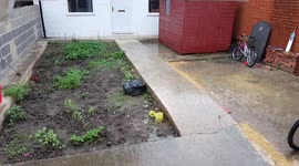 Heavy Rain in Southall UK