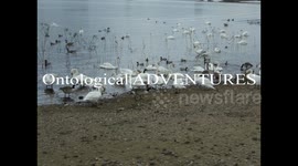 Chasewater June 2017
