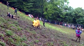 Man dressed as cheese at UK cheese rolling festival