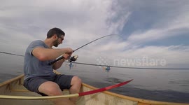YouTuber catches pike with lamprey wounds on its side